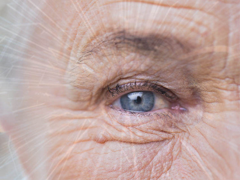 Brain Injury and Vision