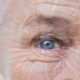 Brain Injury and Vision