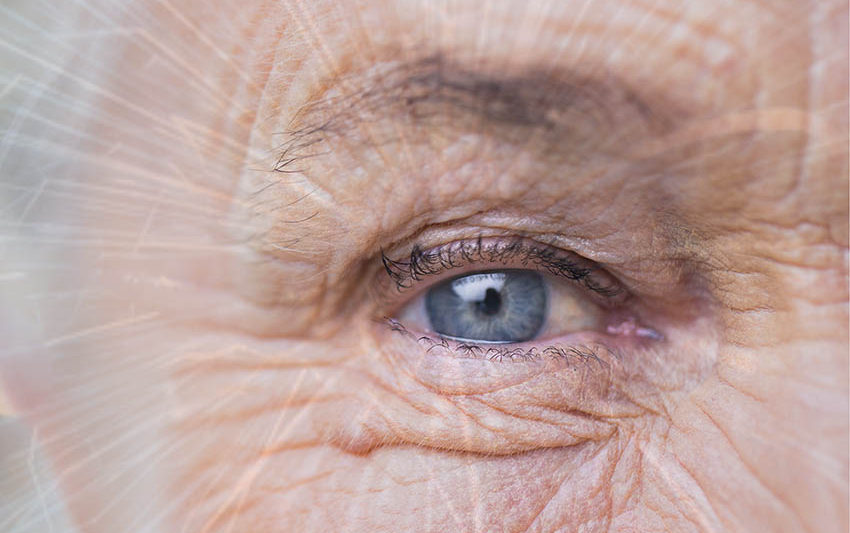 Brain Injury and Vision